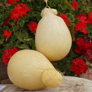 Caciocavallo