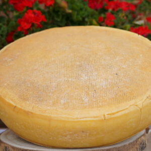 Formella della maiella